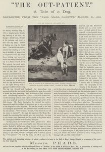 Anuncio, El Paciente Externo, una Historia de un Perro